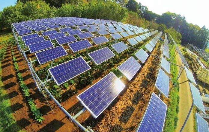 Você está visualizando atualmente Energia solar pode dobrar produção agrícola