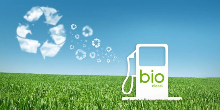 Leia mais sobre o artigo Biocombustíveis são uma vantagem competitiva do Brasil na transição energética