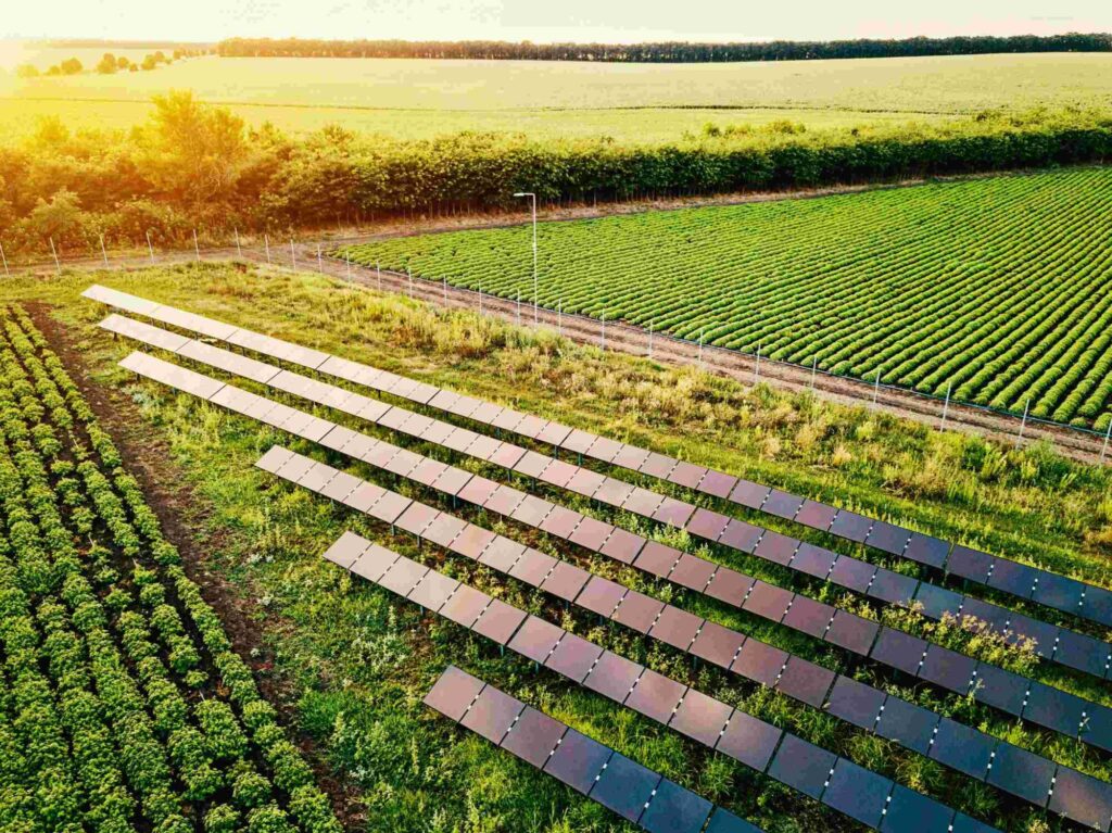 Leia mais sobre o artigo Usina solar em áreas agrícolas — o meio ambiente e o agricultor agradecem