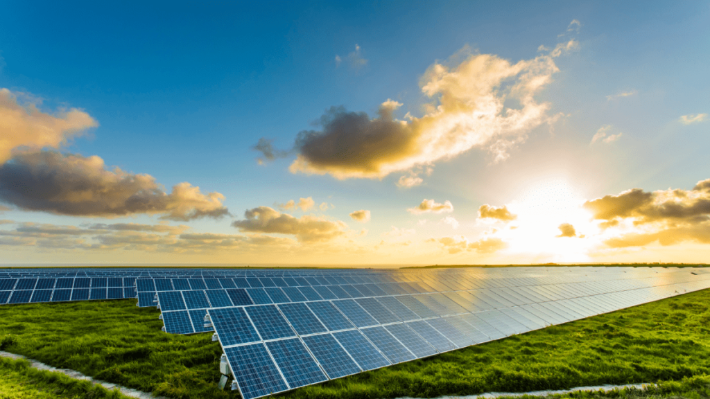 Leia mais sobre o artigo Portal Solar anuncia vantagens para franqueados, com previsão de faturamento de R$ 150 mil por mês nos primeiros 180 dias de operação