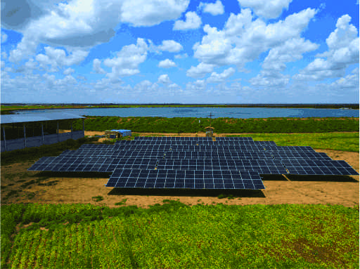 Leia mais sobre o artigo Energia solar para agronegócio: conheça o sistema off grid