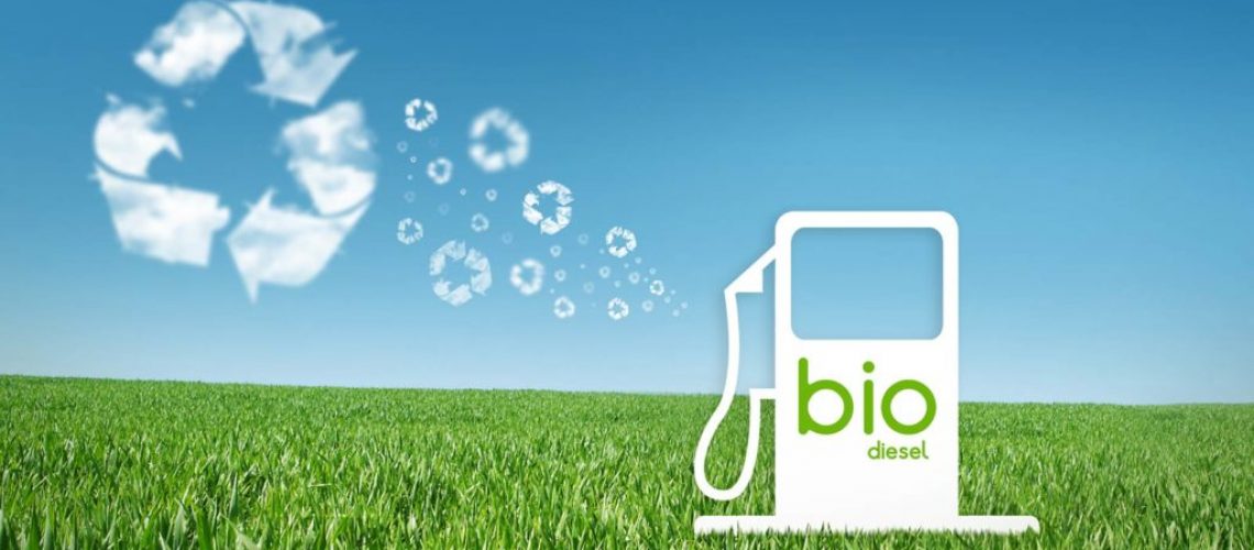 Biocombustíveis são uma vantagem competitiva do Brasil na transição energética