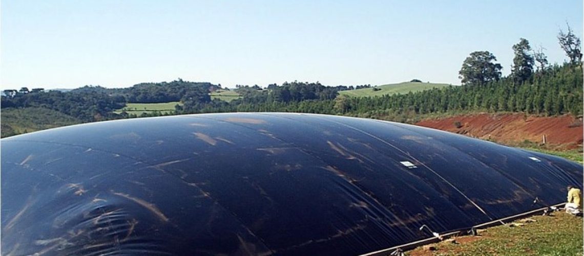 Biogás ganha protagonismo no Brasil como fonte de energia renovável e sustentável