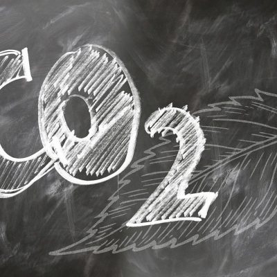 CTG Brasil neutraliza 100% de emissões de carbono
