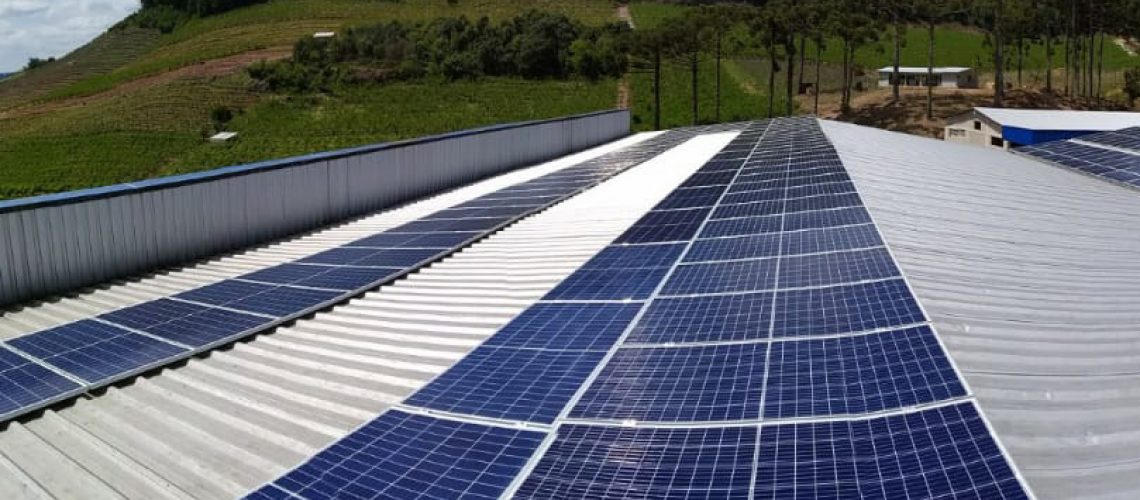 Empresa de energia solar registra crescimento de 60% em 12 meses