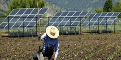 Energia solar é aposta do agronegócio para garantir produtividade e economia