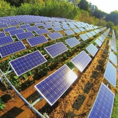 Energia solar pode dobrar produção agrícola