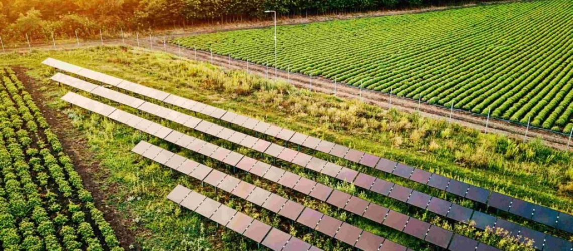 Usina solar em áreas agrícolas — o meio ambiente e o agricultor agradecem