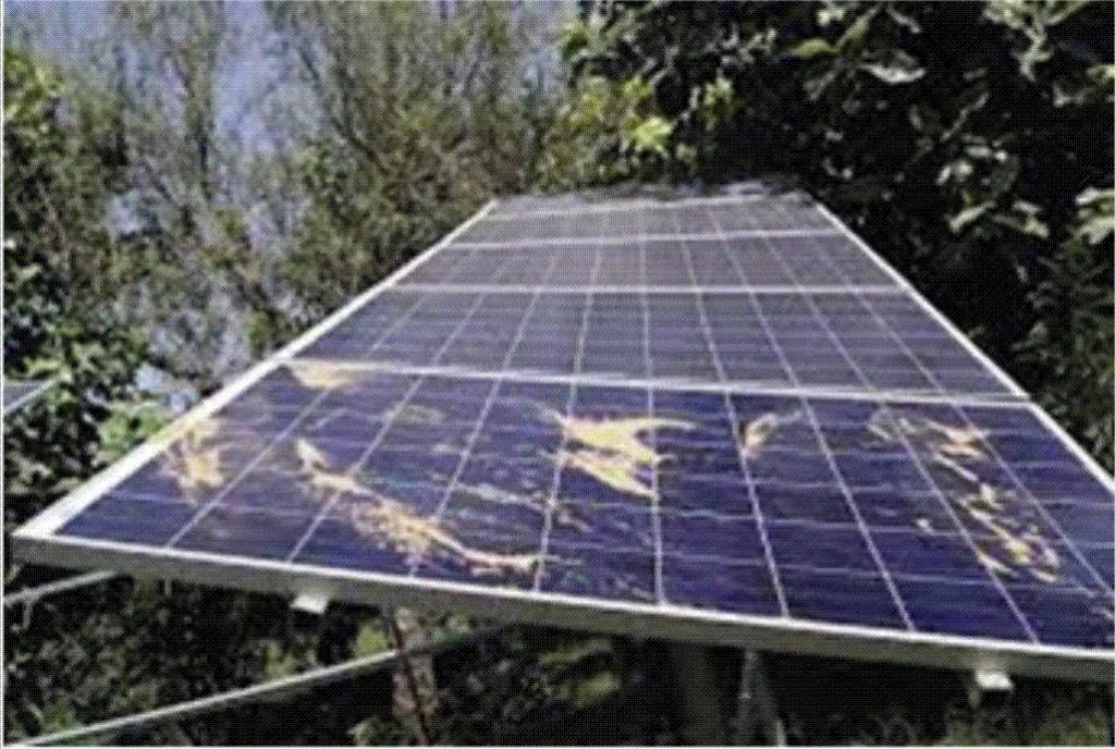 Eficiência e produtividade em sistemas fotovoltaicos