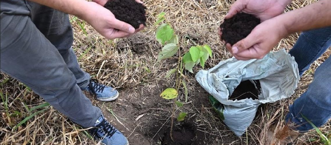 Carbon Free guia empresas para o caminho mais sustentável