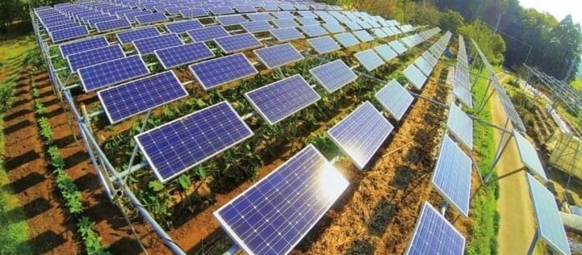 Energia solar pode dobrar produção agrícola