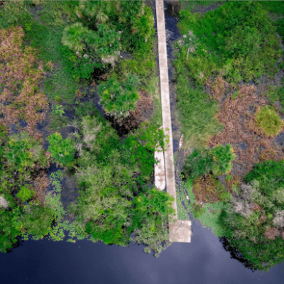 Quatro tendências do mercado de créditos de carbono em 2025