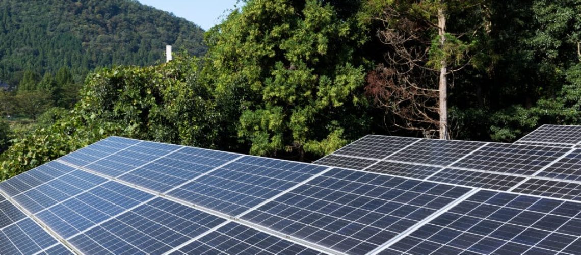 Sengi Solar nasce durante a Intersolar 2022